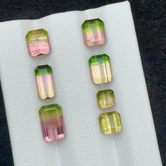 bicolour watermelon tourmaline 4